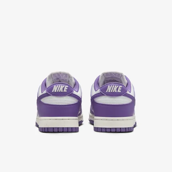 Кросівки Nike Dunk Low Retro Next Nature DD1873-108