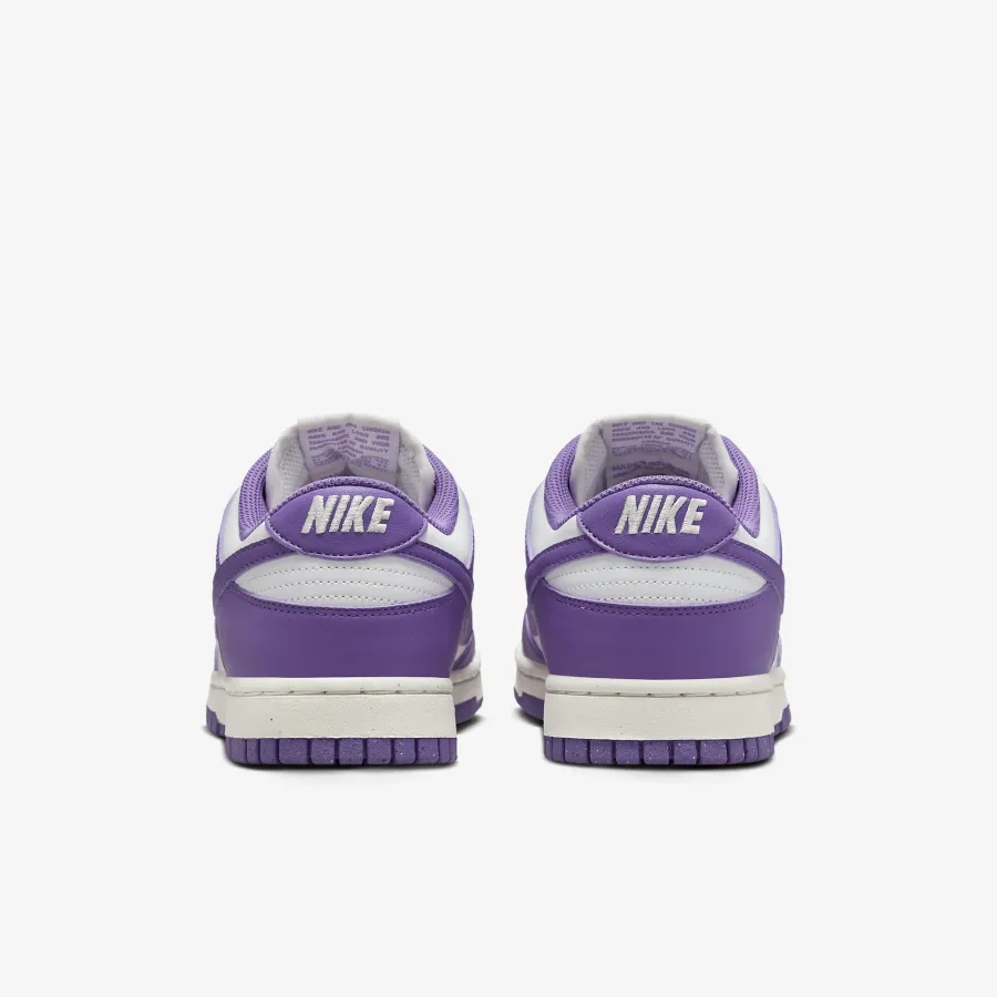 Кросівки Nike Dunk Low Retro Next Nature DD1873-108
