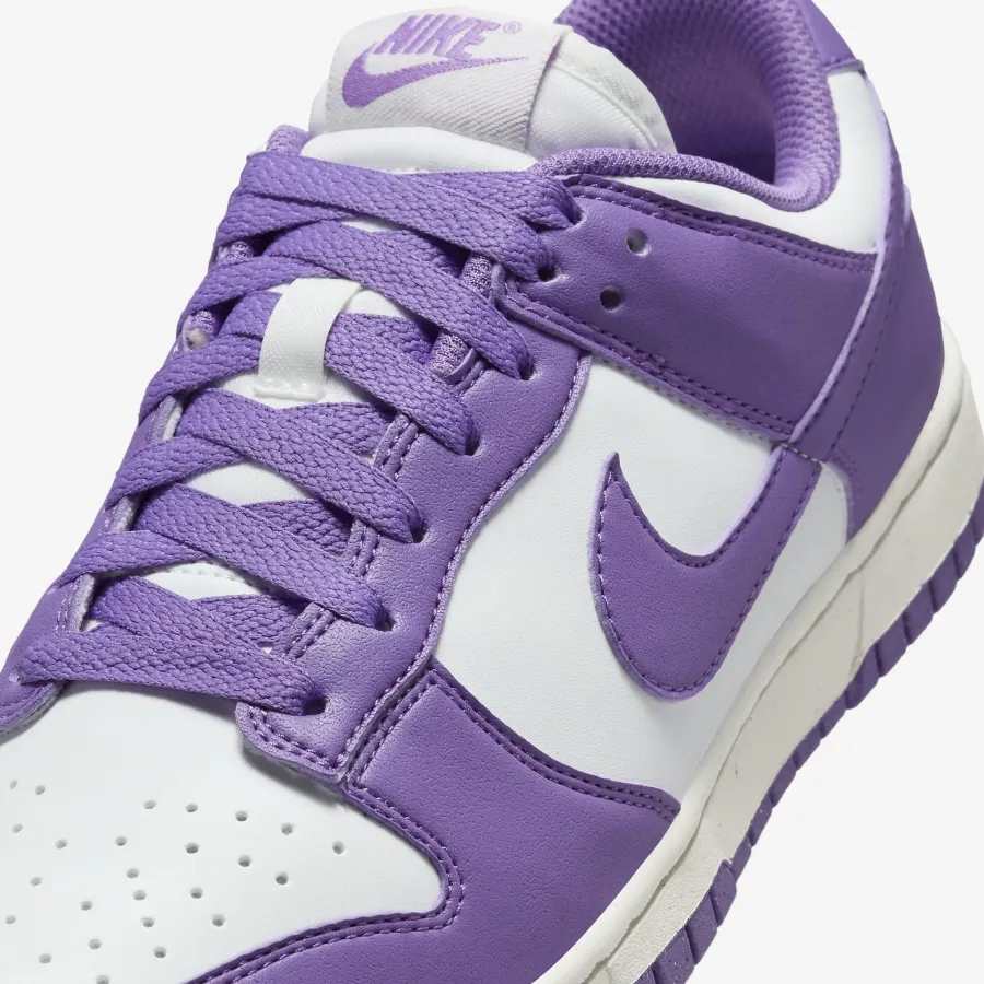 Кросівки Nike Dunk Low Retro Next Nature DD1873-108