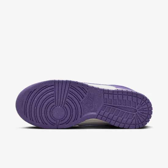 Кросівки Nike Dunk Low Retro Next Nature DD1873-108