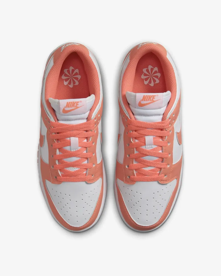 Кросівки Nike Dunk Low Retro Next Nature DD1873-109