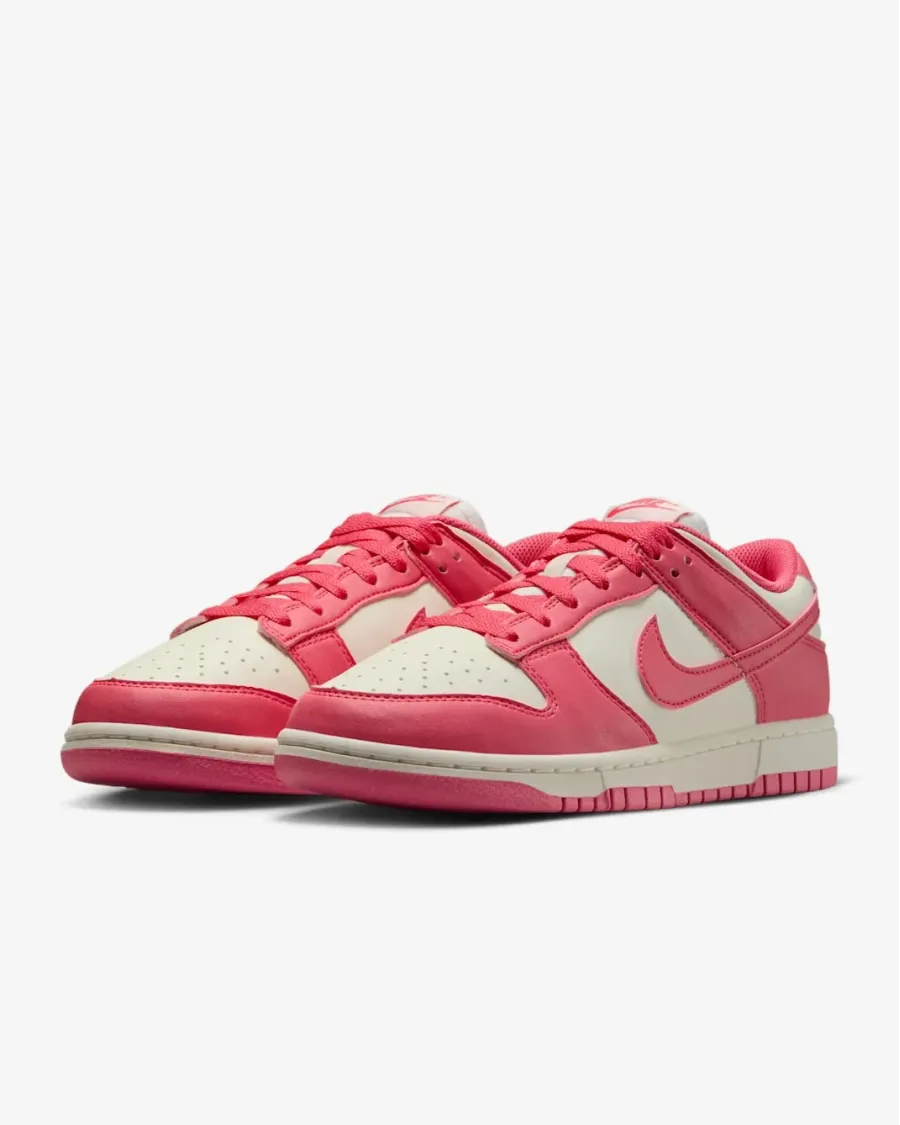 Кросівки Nike Dunk Low Retro Next Nature DD1873-600
