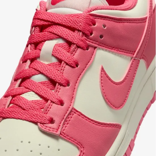 Кросівки Nike Dunk Low Retro Next Nature DD1873-600