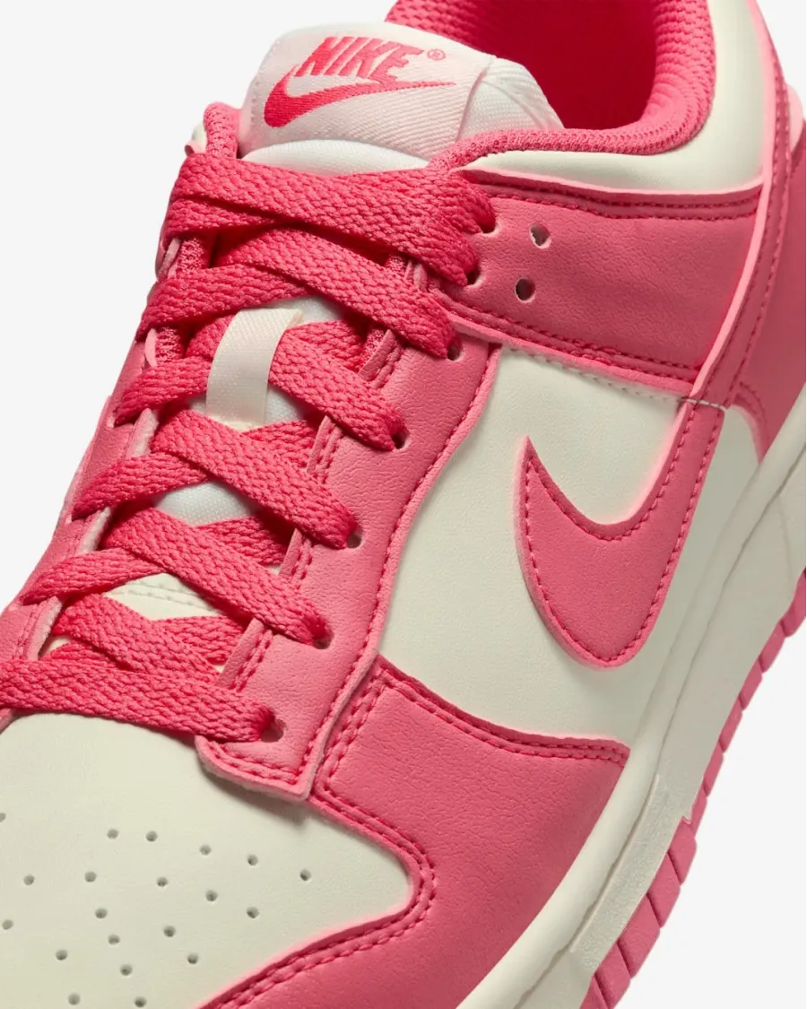 Кросівки Nike Dunk Low Retro Next Nature DD1873-600