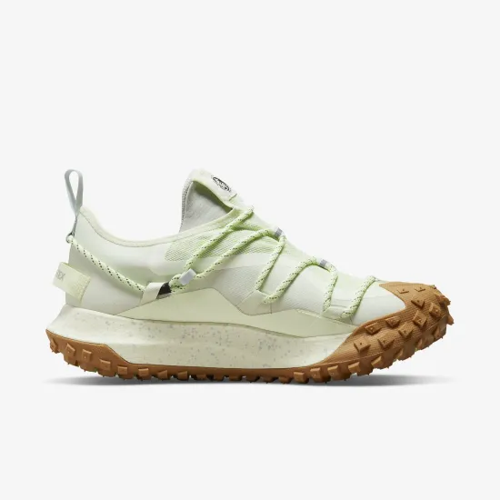 Кросівки Nike ACG Mountain Fly Low Gore-Tex DD2861-001