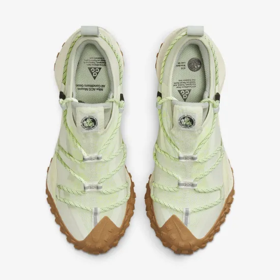 Кросівки Nike ACG Mountain Fly Low Gore-Tex DD2861-001