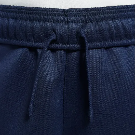 Штани Nike Sportswear Repeat PK Jogger DD4008-410
