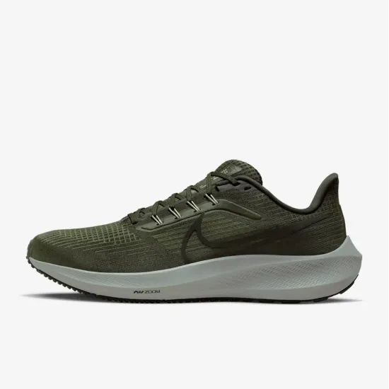 Кросівки Nike Air Zoom Pegasus 39 DH4071-300