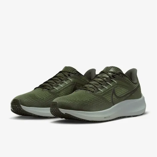 Кросівки Nike Air Zoom Pegasus 39 DH4071-300