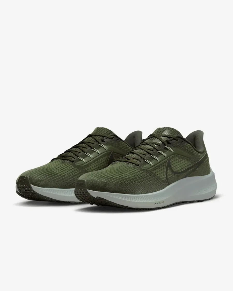 Кросівки Nike Air Zoom Pegasus 39 DH4071-300