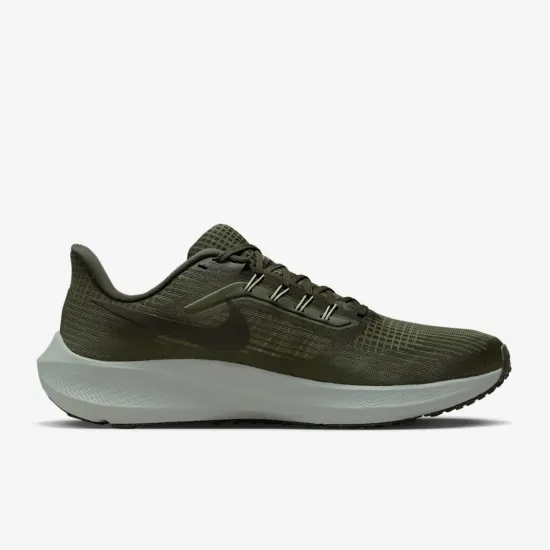 Кросівки Nike Air Zoom Pegasus 39 DH4071-300