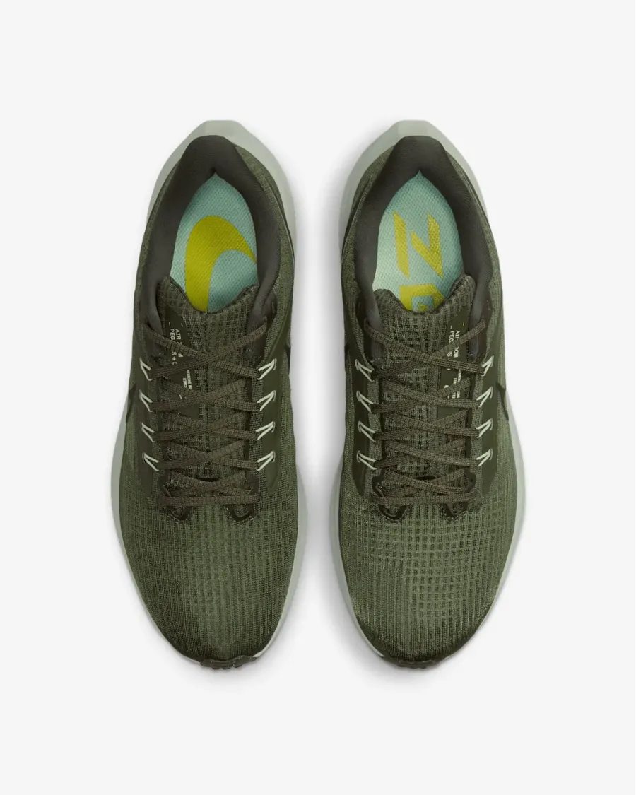 Кросівки Nike Air Zoom Pegasus 39 DH4071-300