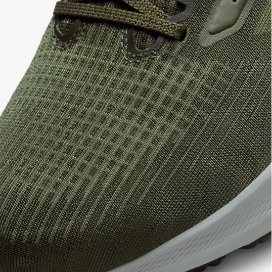 Кросівки Nike Air Zoom Pegasus 39 DH4071-300