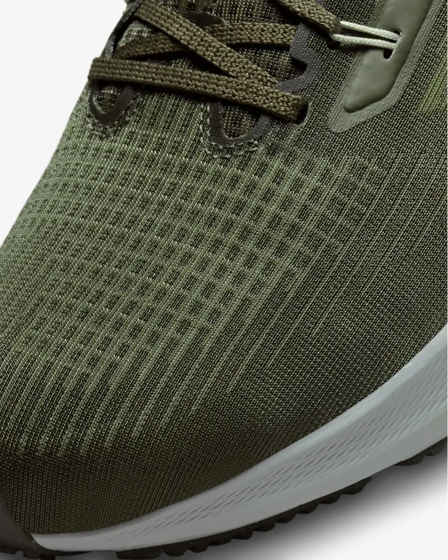 Кросівки Nike Air Zoom Pegasus 39 DH4071-300