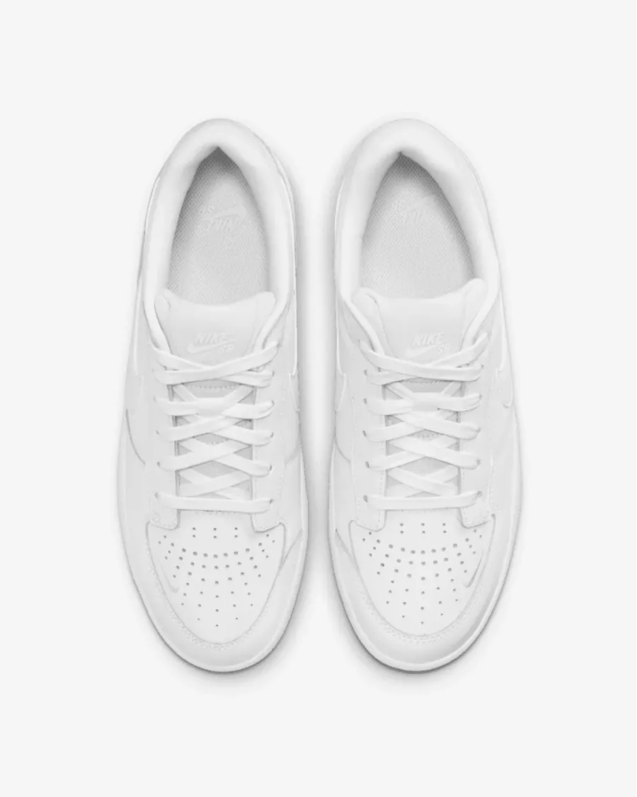 Кросівки Nike SB Force 58 Premium DH7505-100