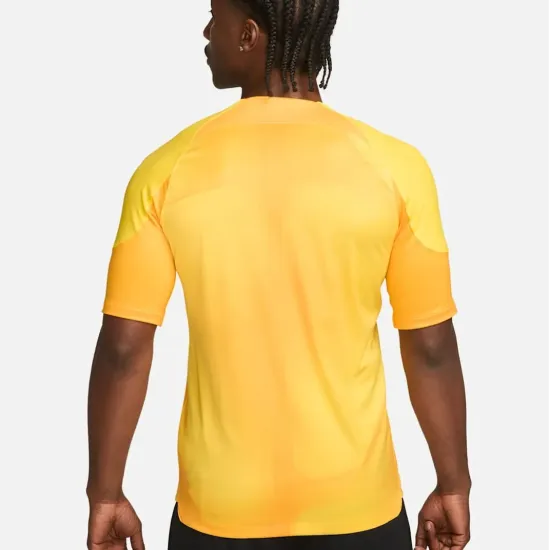 Футболка Nike Dri-FIT Gardien 4 Goalkeeper DH7760-719