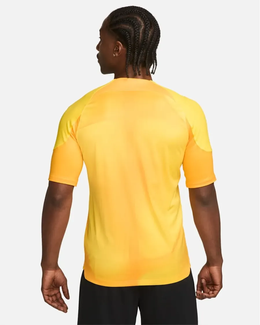 Футболка Nike Dri-FIT Gardien 4 Goalkeeper DH7760-719