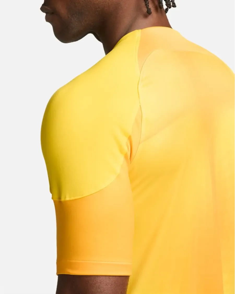 Футболка Nike Dri-FIT Gardien 4 Goalkeeper DH7760-719