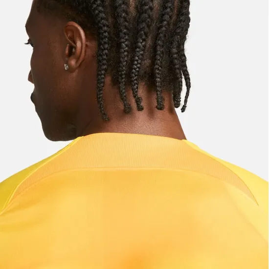 Футболка Nike Dri-FIT Gardien 4 Goalkeeper DH7760-719