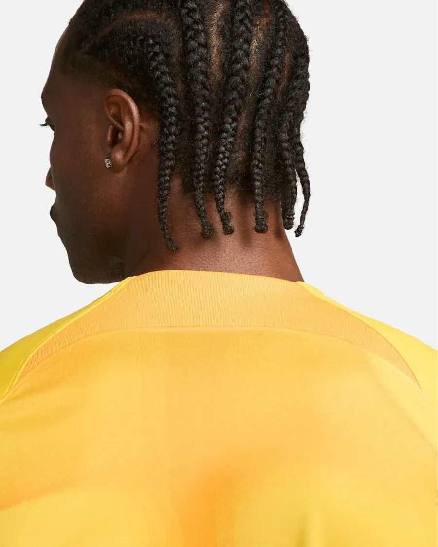 Футболка Nike Dri-FIT Gardien 4 Goalkeeper DH7760-719