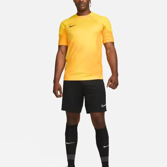 Футболка Nike Dri-FIT Gardien 4 Goalkeeper DH7760-719