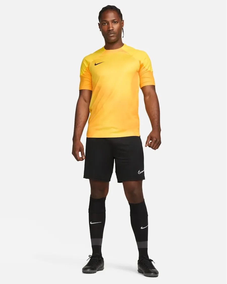 Футболка Nike Dri-FIT Gardien 4 Goalkeeper DH7760-719