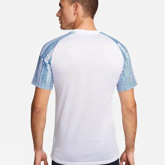 Футболка Nike Dri-FIT Academy Jersey DH8031-102