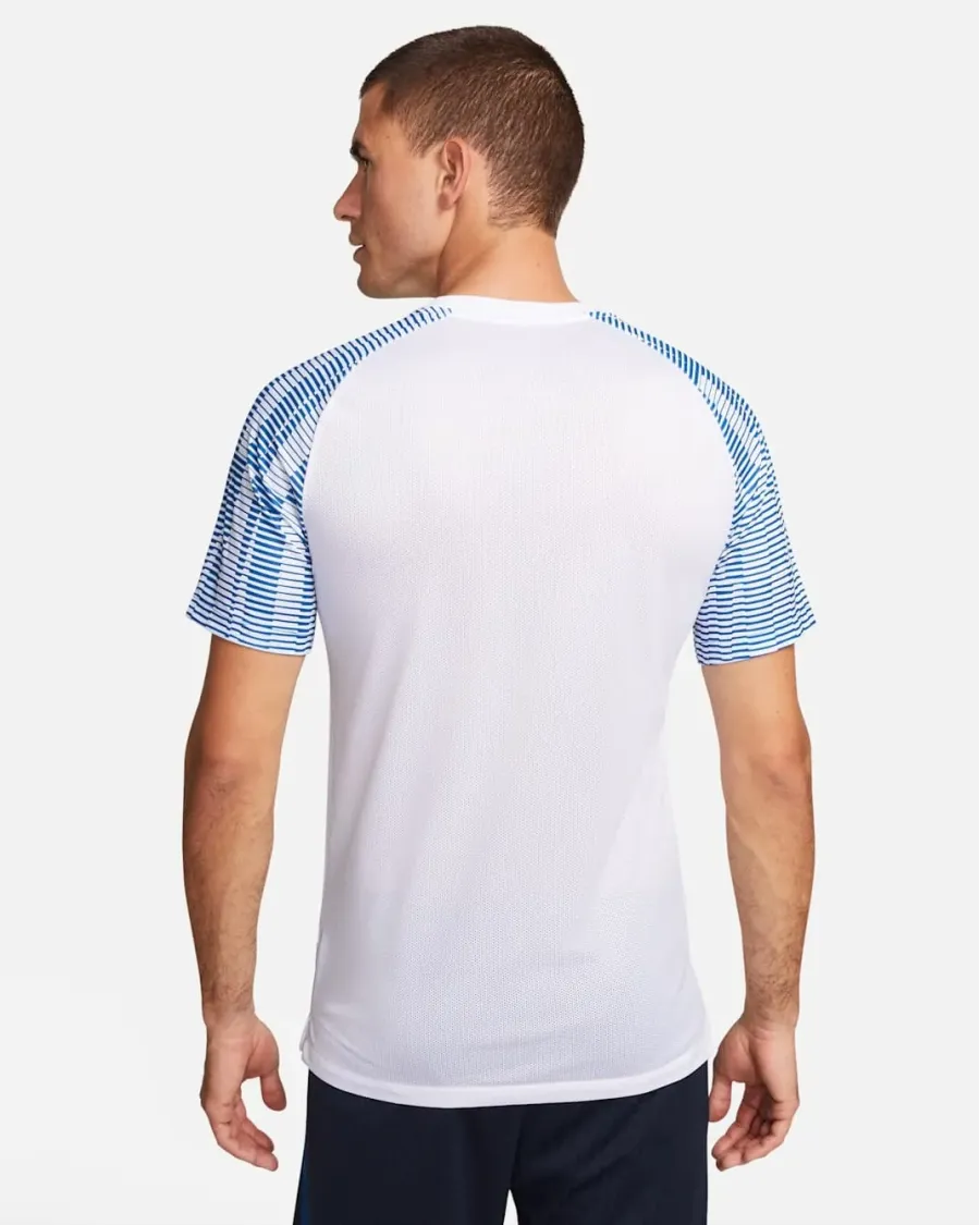 Футболка Nike Dri-FIT Academy Jersey DH8031-102