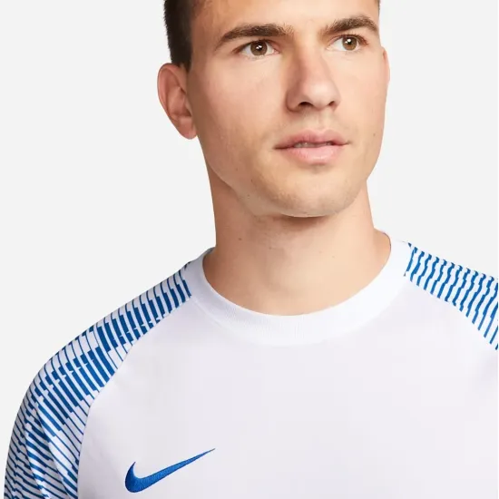 Футболка Nike Dri-FIT Academy Jersey DH8031-102