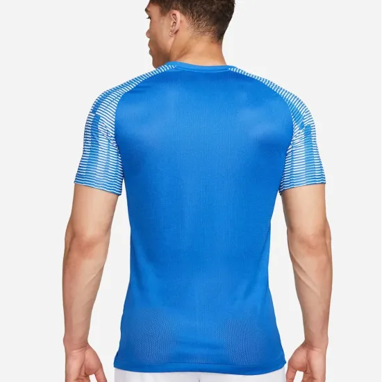 Футболка Nike Dri-FIT Academy Jersey DH8031-463