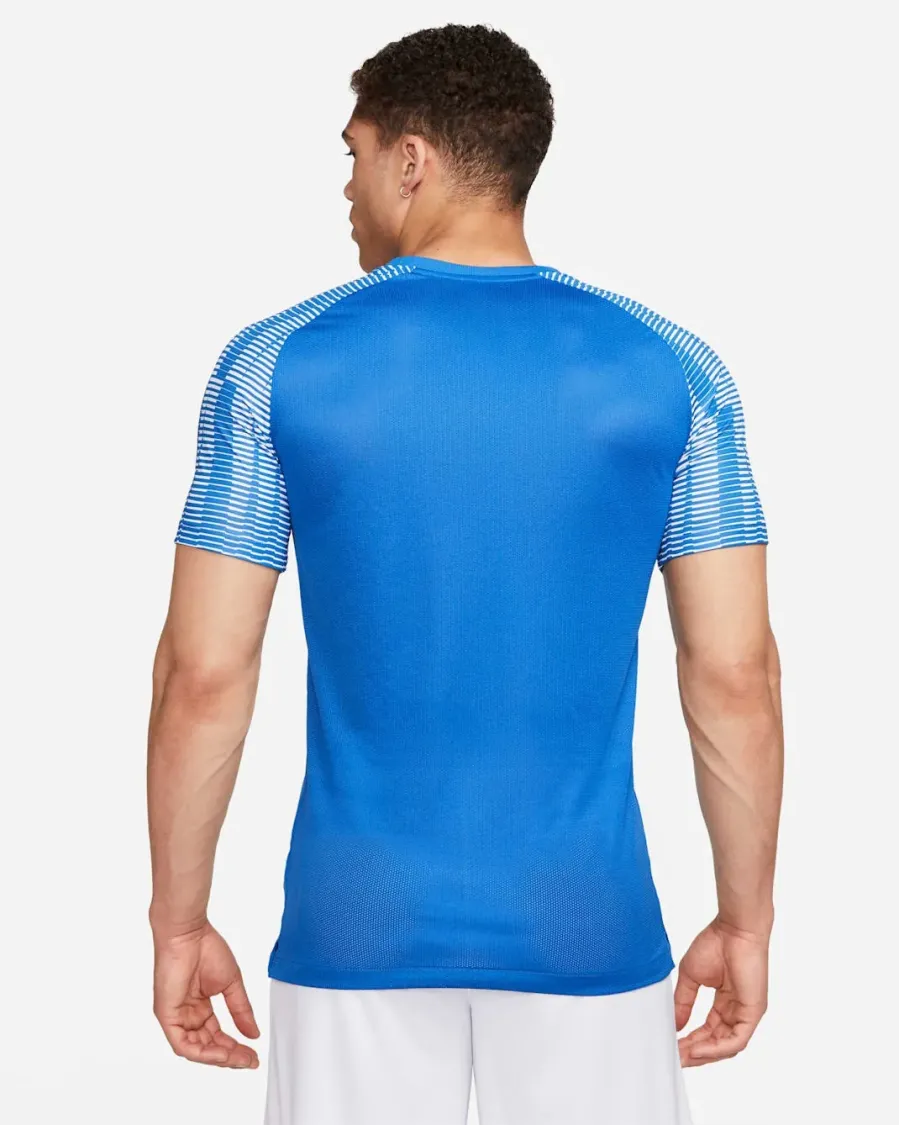 Футболка Nike Dri-FIT Academy Jersey DH8031-463