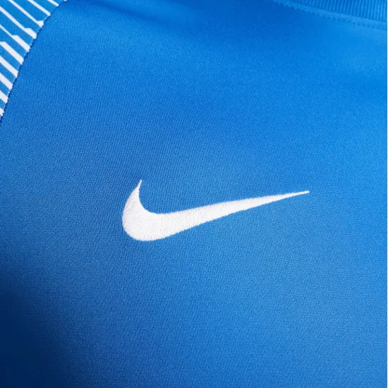 Футболка Nike Dri-FIT Academy Jersey DH8031-463