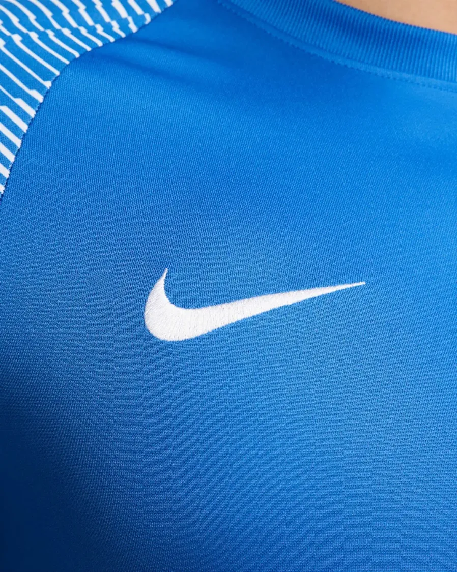 Футболка Nike Dri-FIT Academy Jersey DH8031-463