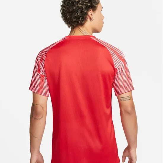 Футболка Nike Dri-FIT Academy Jersey DH8031-657
