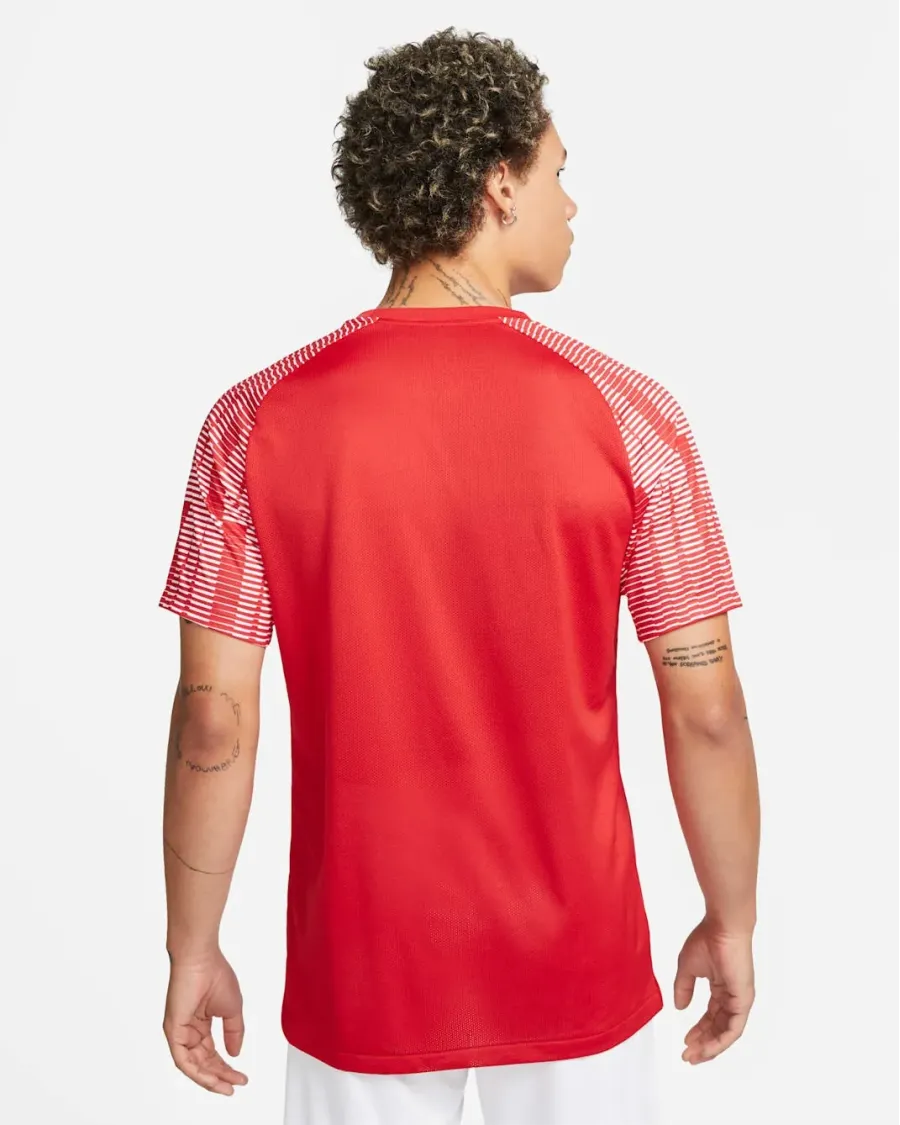 Футболка Nike Dri-FIT Academy Jersey DH8031-657