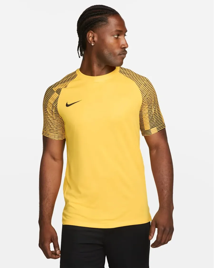 Футболка Nike Dri-FIT Academy Jersey DH8031-719