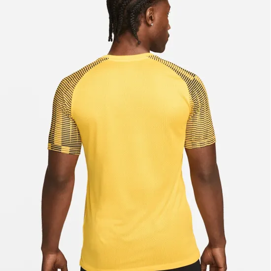 Футболка Nike Dri-FIT Academy Jersey DH8031-719