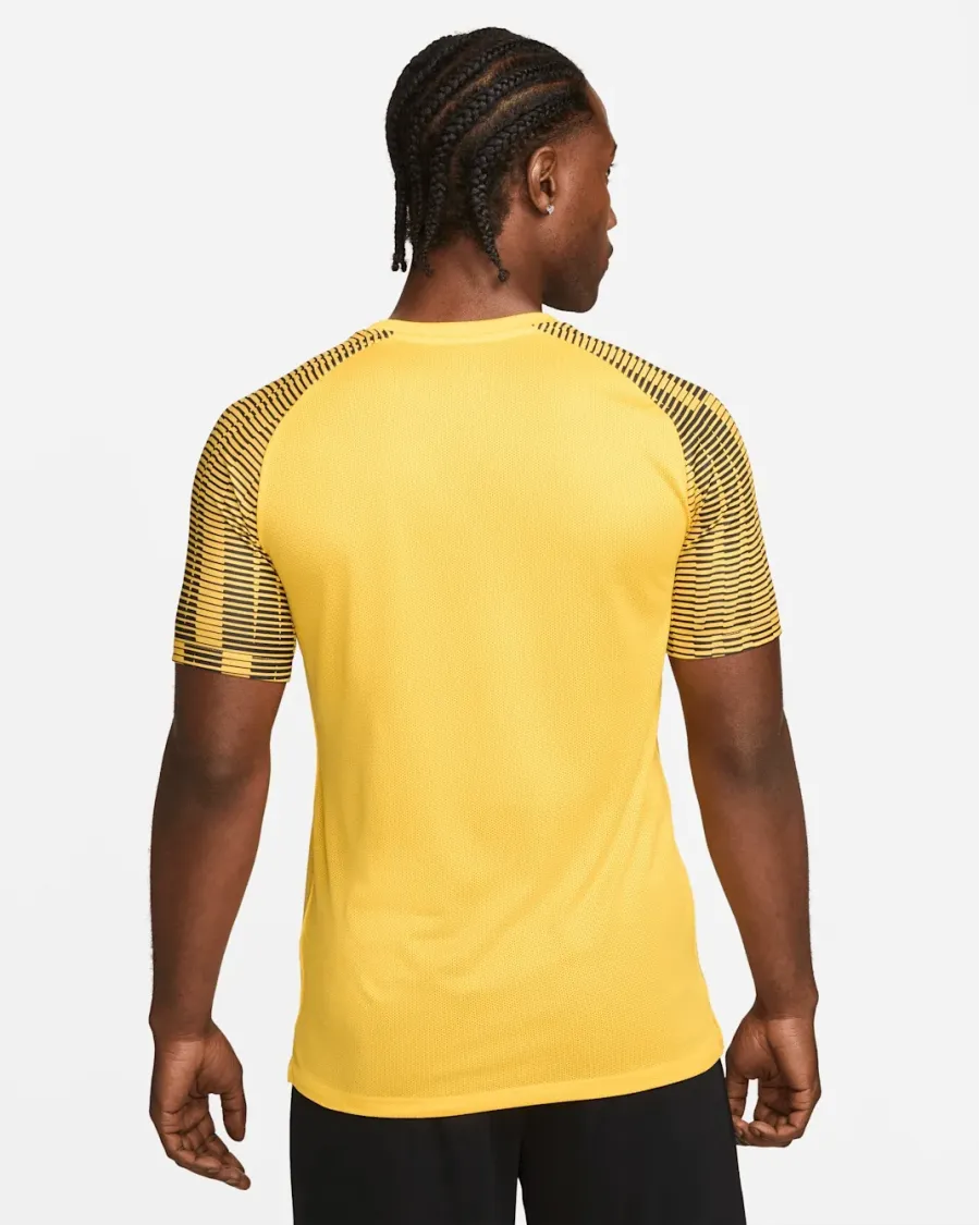 Футболка Nike Dri-FIT Academy Jersey DH8031-719