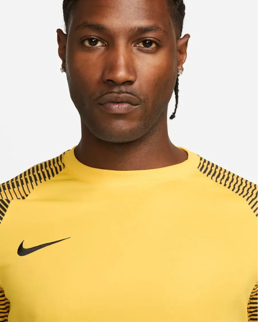 Футболка Nike Dri-FIT Academy Jersey DH8031-719