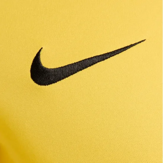 Футболка Nike Dri-FIT Academy Jersey DH8031-719