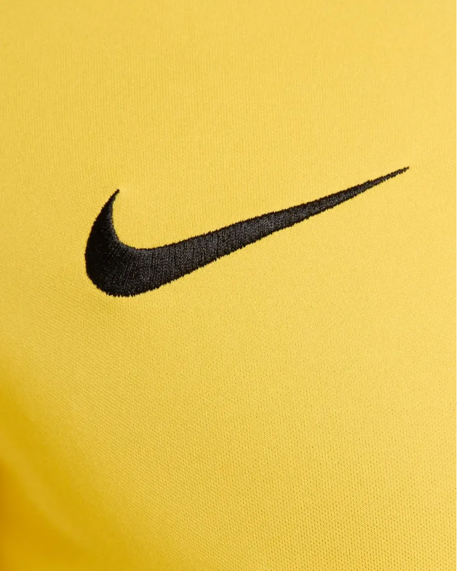 Футболка Nike Dri-FIT Academy Jersey DH8031-719