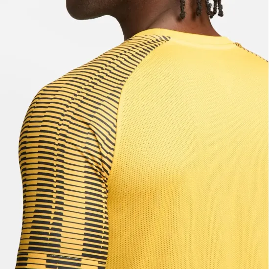 Футболка Nike Dri-FIT Academy Jersey DH8031-719