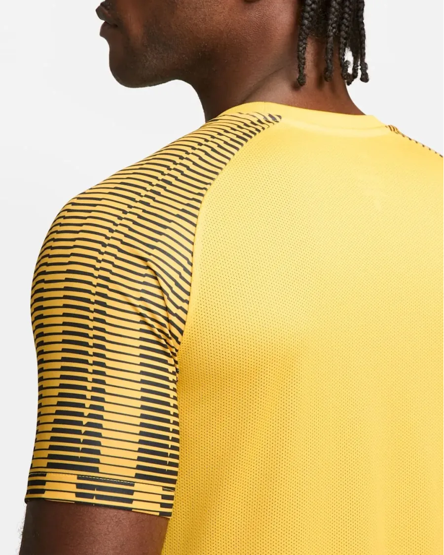 Футболка Nike Dri-FIT Academy Jersey DH8031-719