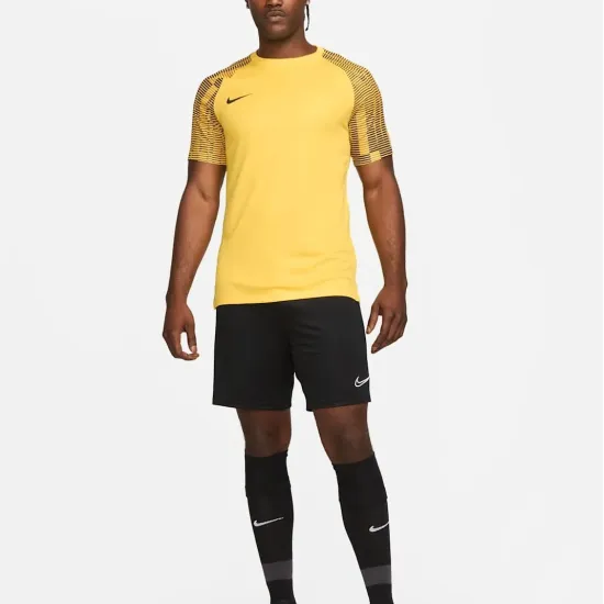 Футболка Nike Dri-FIT Academy Jersey DH8031-719