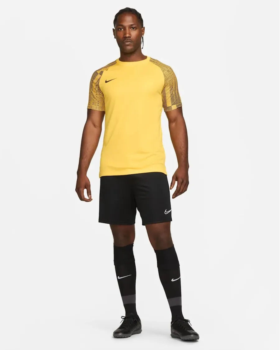 Футболка Nike Dri-FIT Academy Jersey DH8031-719
