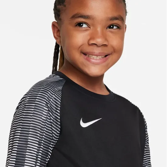 Футболка Nike Dri-FIT Academy DH8369-010