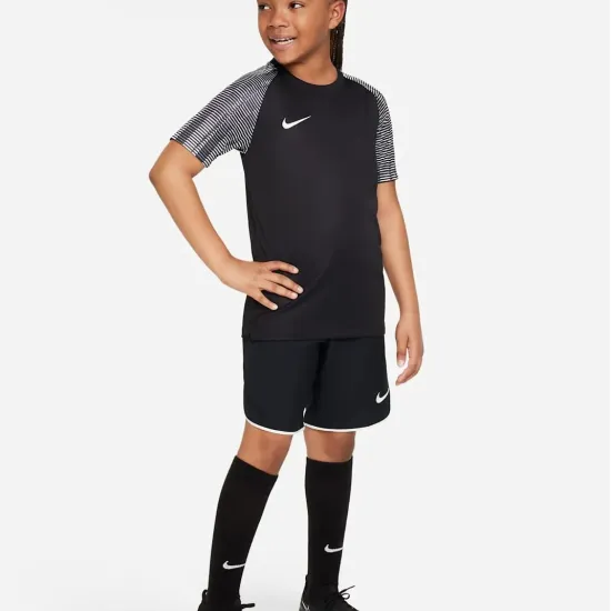 Футболка Nike Dri-FIT Academy DH8369-010