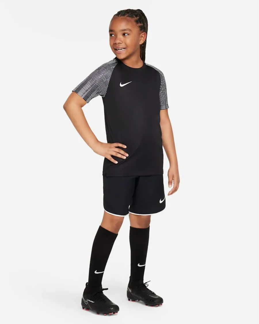 Футболка Nike Dri-FIT Academy DH8369-010