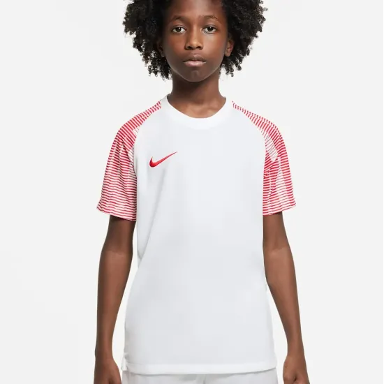Футболка Nike Dri-FIT Academy DH8369-100