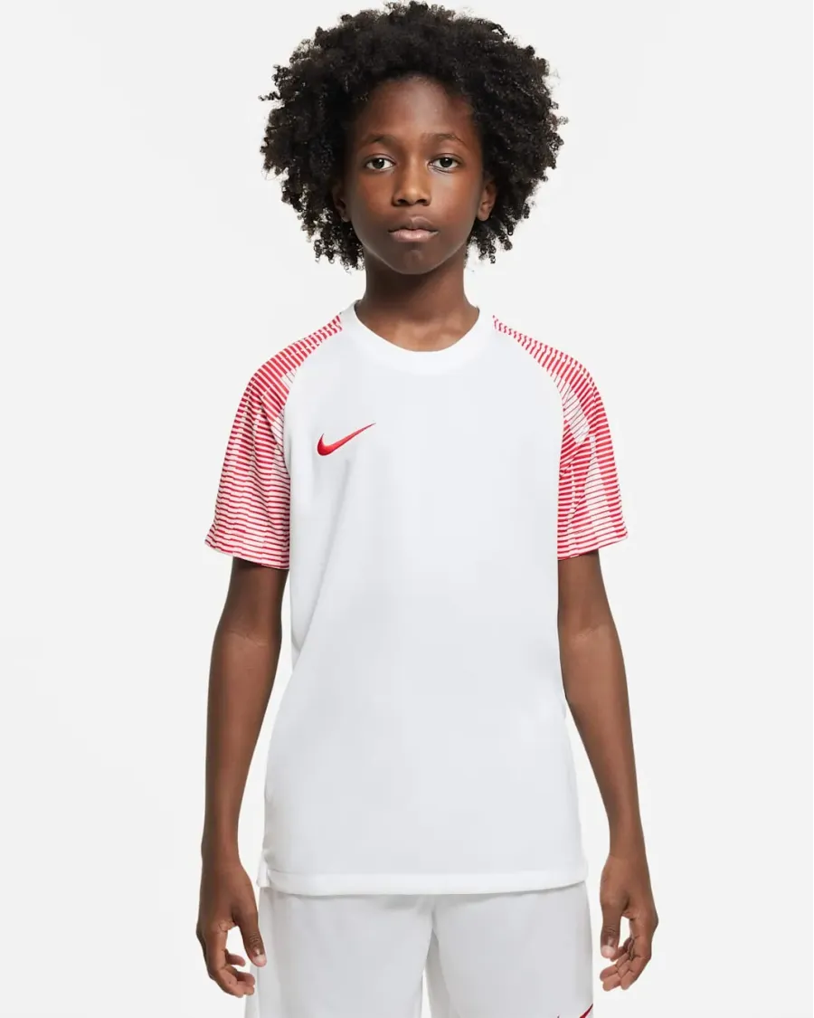 Футболка Nike Dri-FIT Academy DH8369-100